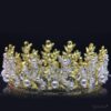 Queen Helen- pearl gold crystal crown - My Roial Ears LTD