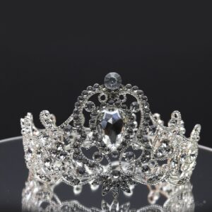 Queen Rossecelt- mini veil crown - My Roial Ears LTD