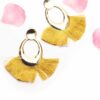 Momordica Charantia- - My Roial Ears LTD