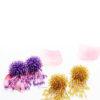 Gerbera Purple - My Roial Ears LTD