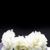 Queen Donna- rose flower headband - My Roial Ears LTD