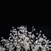 Queen Morgan Gold Orla-clear crystal beaded crown - Image 2